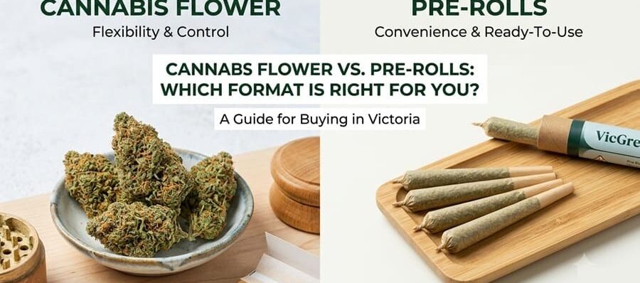 Cannabis Flower vs. Pre-Rolls: Which Format Is Right for You?